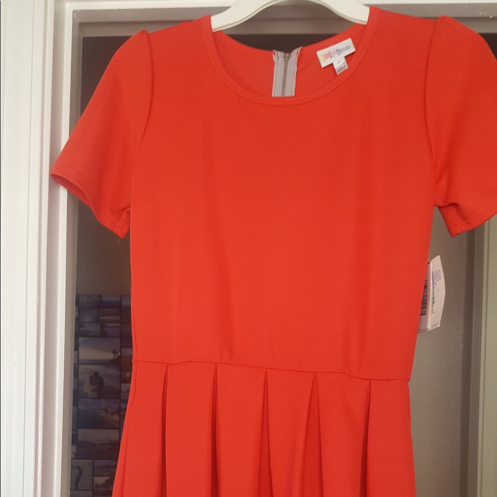 Lularoe NWT small Amelia